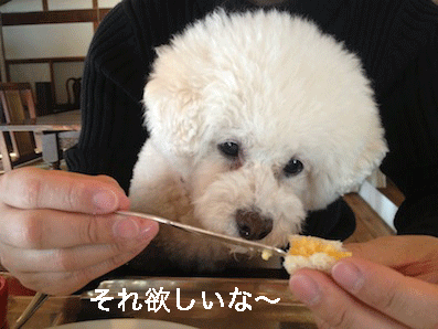 IMG_2628.gif