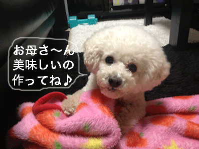 IMG_2671.gif