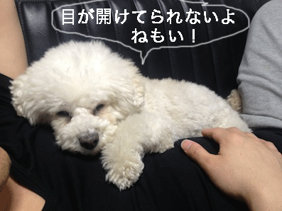 IMG_2688.gif