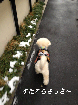IMG_2711.gif