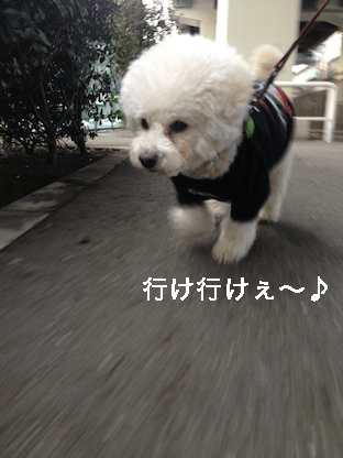 IMG_2714.gif