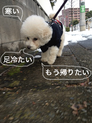 IMG_2723.gif