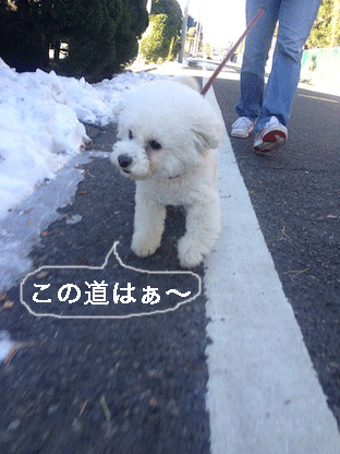 IMG_2760.gif