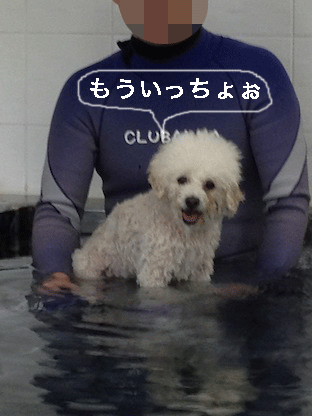 IMG_2822.gif