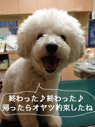 IMG_2843.gif