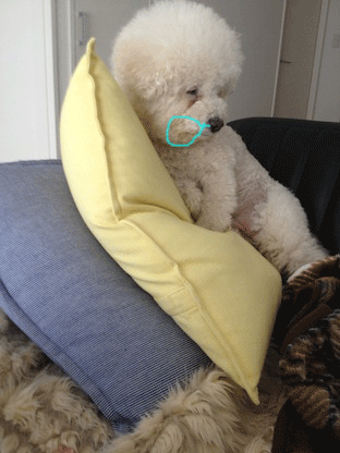IMG_3085.gif