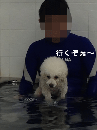 IMG_3094.gif