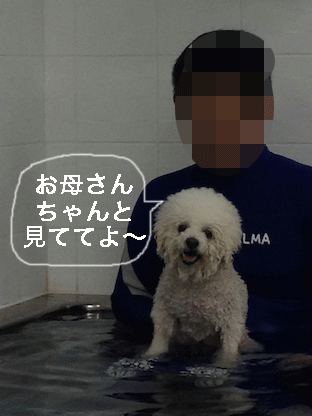 IMG_3095.gif
