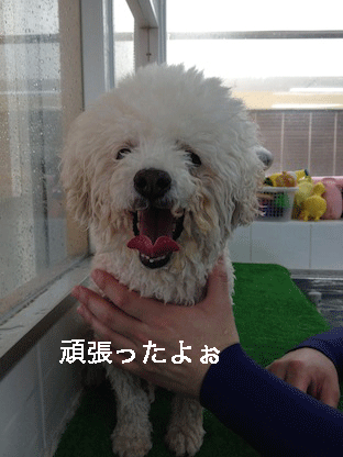 IMG_3300.gif