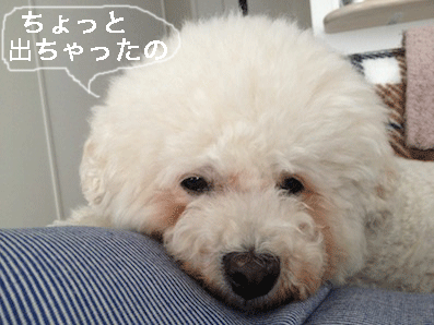 IMG_3708.gif