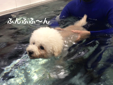 IMG_3907.gif