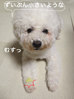IMG_3930.gif