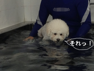 IMG_4107.gif