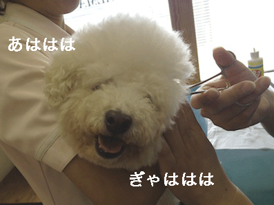 IMG_4140.gif