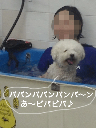IMG_4504.gif