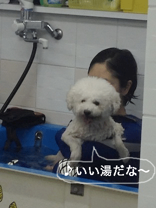 IMG_4505.gif