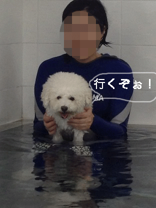 IMG_4506.gif