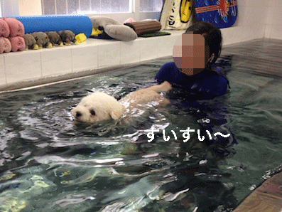 IMG_4508.gif