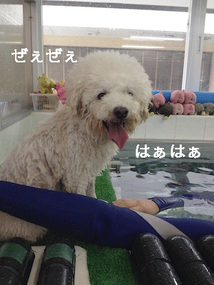 IMG_4513.gif