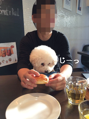 IMG_4776.gif