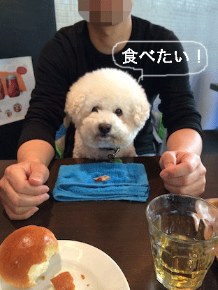 IMG_4779.gif