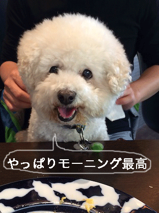 IMG_4785.gif