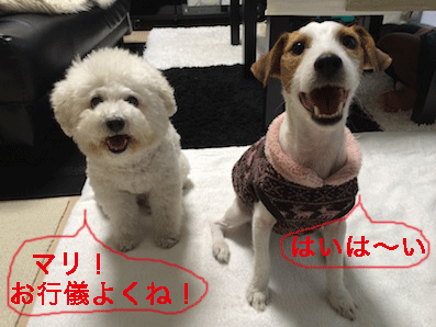 IMG_4844.gif
