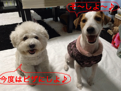 IMG_4848.gif