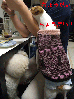 IMG_4852.gif