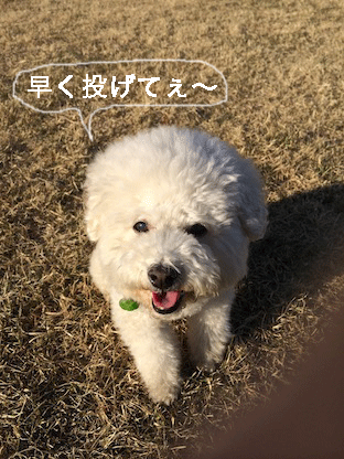 IMG_4915.gif