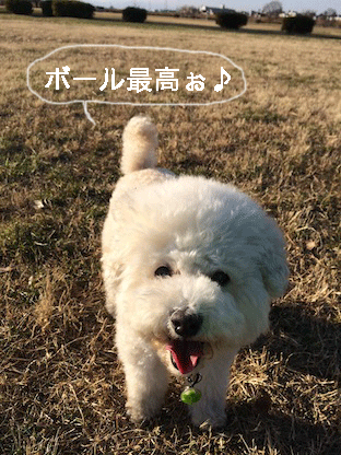 IMG_4927.gif
