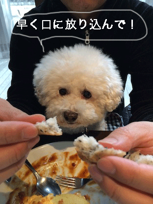 IMG_4958.gif