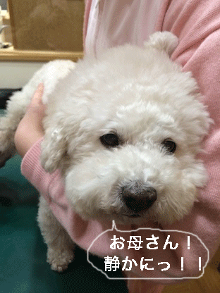 IMG_5110.gif