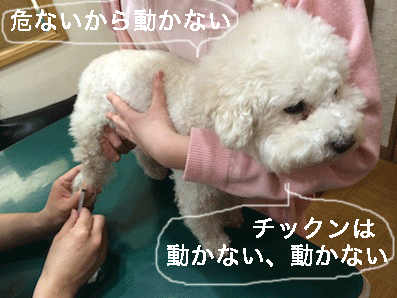 IMG_5111.gif