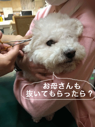 IMG_5113.gif