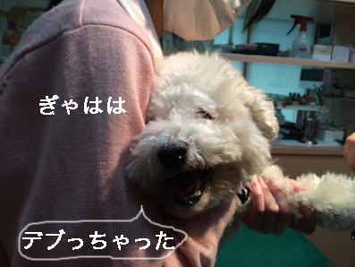 IMG_5118.gif