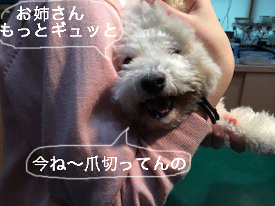 IMG_5119.gif