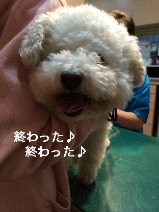 IMG_5121.gif