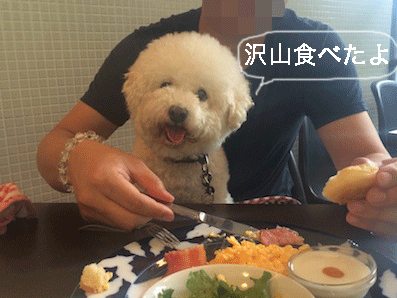 IMG_6357.gif