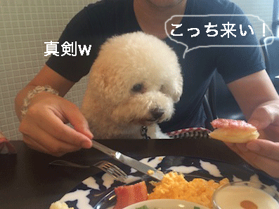 IMG_6359.gif
