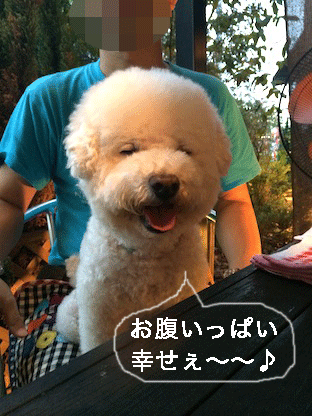 IMG_6388.gif