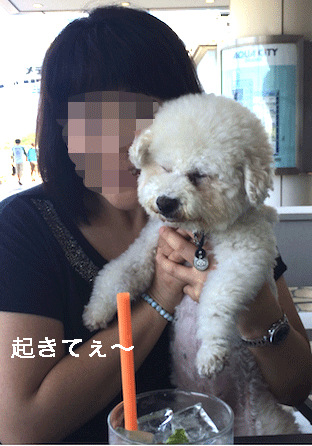 IMG_6448.gif
