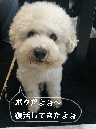 IMG_6545.gif
