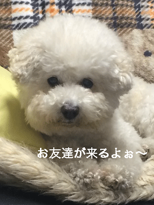 IMG_6605.gif