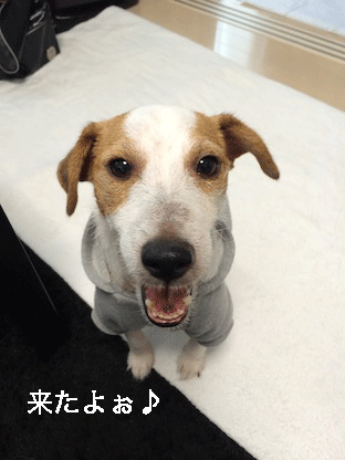 IMG_6613.gif