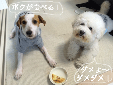 IMG_6626.gif