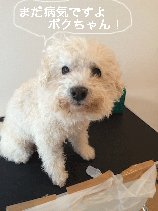 IMG_6647.gif