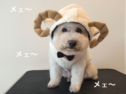 IMG_6653.gif