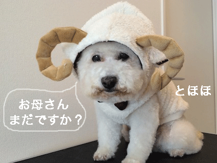 IMG_6655.gif