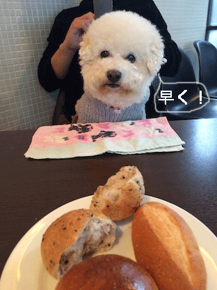 IMG_6731.gif